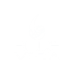 BlueMedia